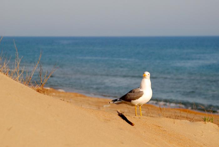 post-4-0-09028200-1432413316_thumb.jpg