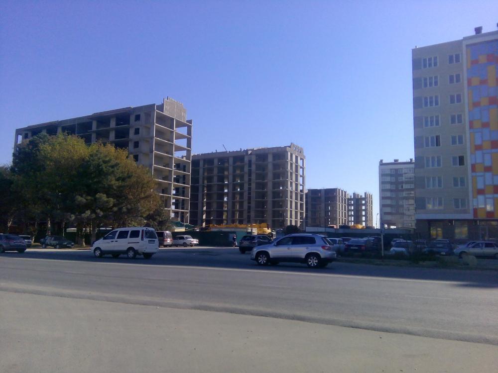 IMG_20151005_094606.jpg