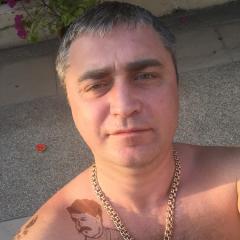 Вайвекс1