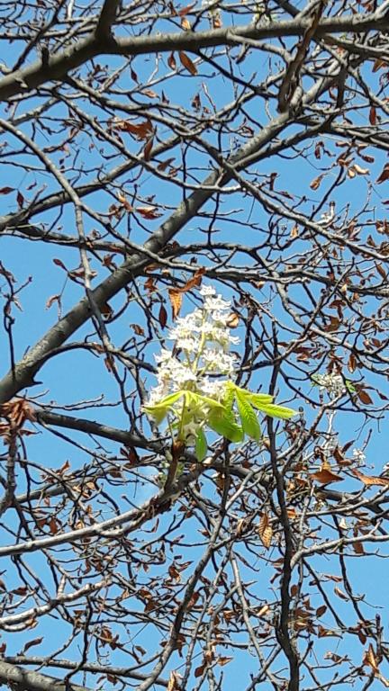 20160914_132426.jpg