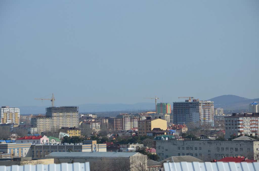 DSC_0781.JPG