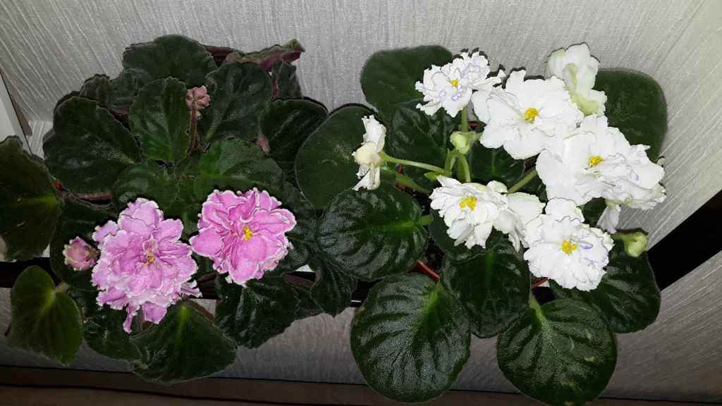 20170412_000545.jpg