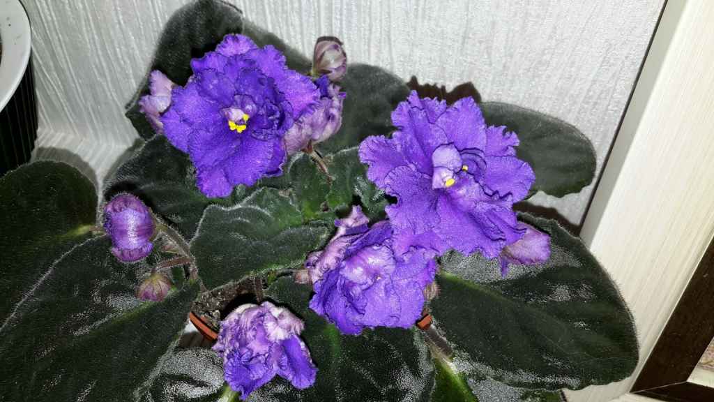 20170412_000615.jpg