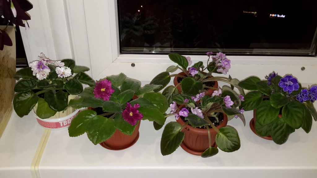 20170412_000640.jpg
