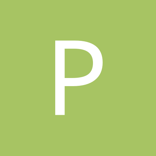 prokurator