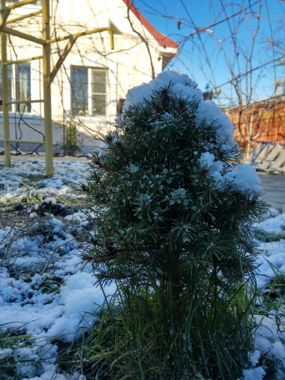 IMG_20171125_094746_HDR.jpg