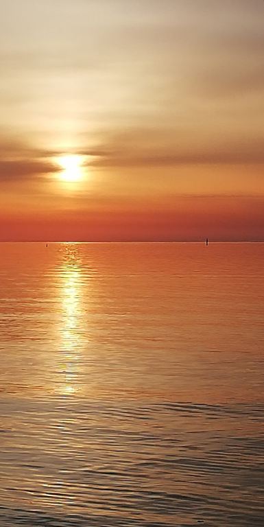 IMG_20180406_215704.jpg.7c7d1bb27d3cc3a24e6db9466912db61.jpg