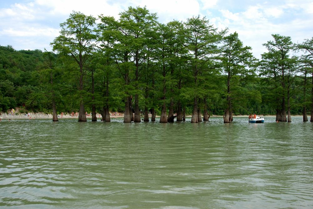 DSC_4799.jpg