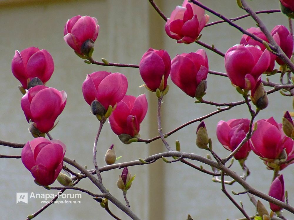 2019-03-09_182428.jpg.78b40aa6cb8748e20034d826528f9d6c.jpg