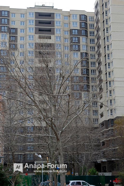 DSC_0751.jpg