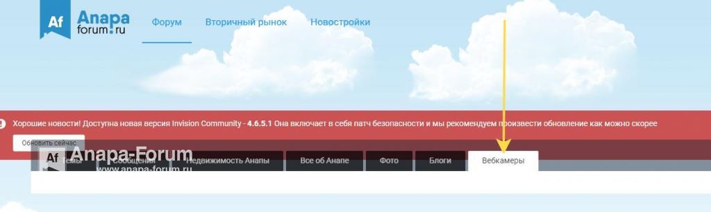 2021-08-16_20-00-00.jpg