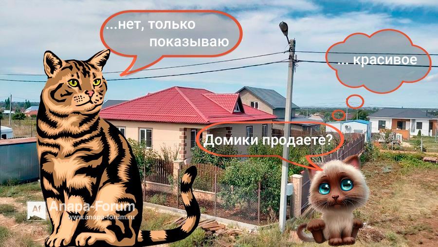 1.jpg.jpg