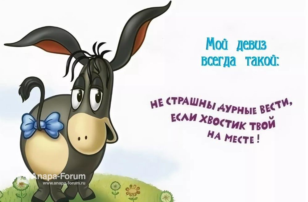 233079818_.jpg.015ab218d9b0719b1c0db66efa6041e6.jpg